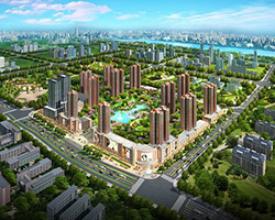 ��̶�ǱP-�������T��